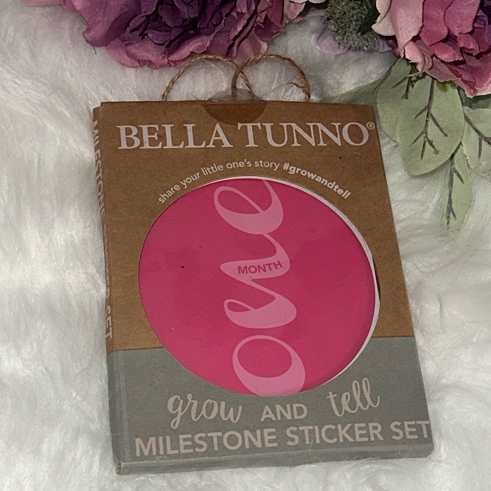 Bella Tunno Grow and Tell Baby Milestone Sticker Set Mod Months Girl 12 Count